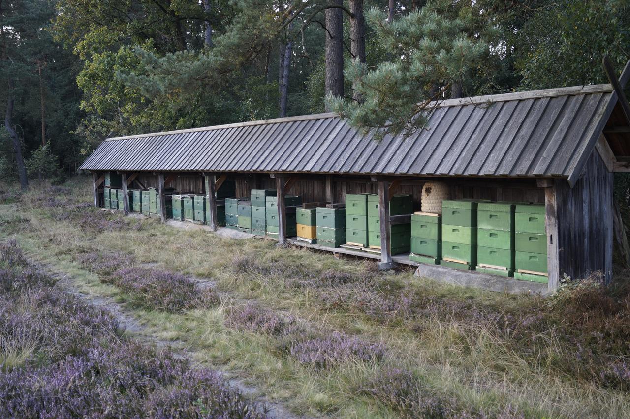 Ferienwohnungen Wahlers Bispingen Exterior foto