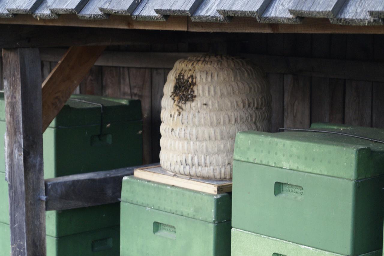 Ferienwohnungen Wahlers Bispingen Exterior foto