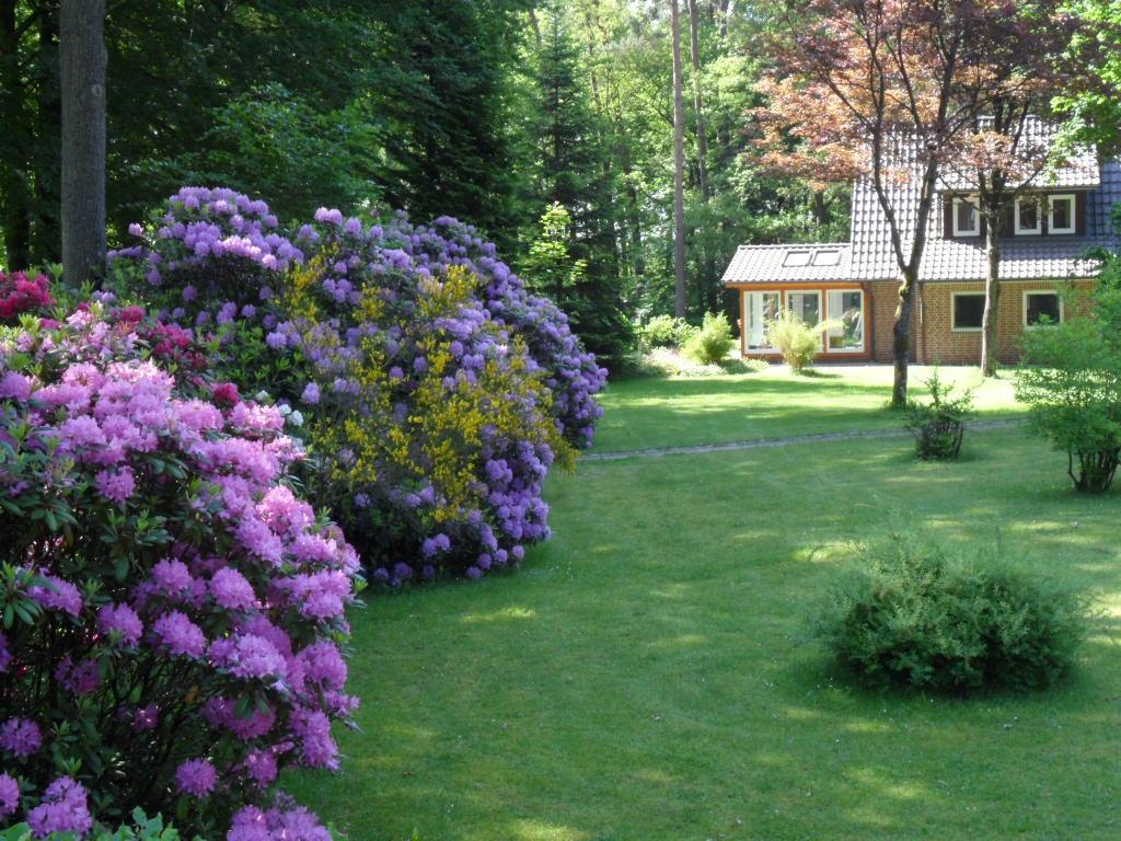 Ferienwohnungen Wahlers Bispingen Exterior foto