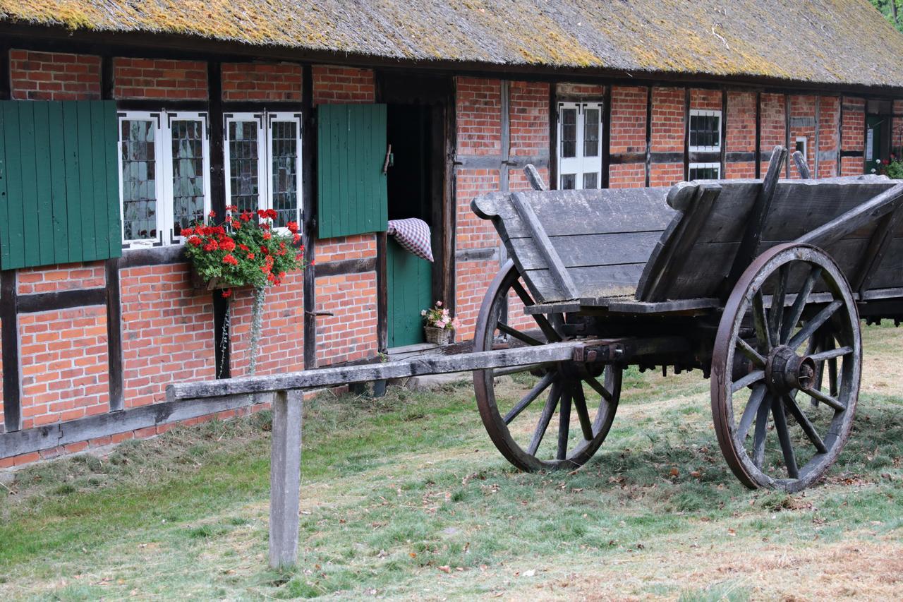 Ferienwohnungen Wahlers Bispingen Exterior foto