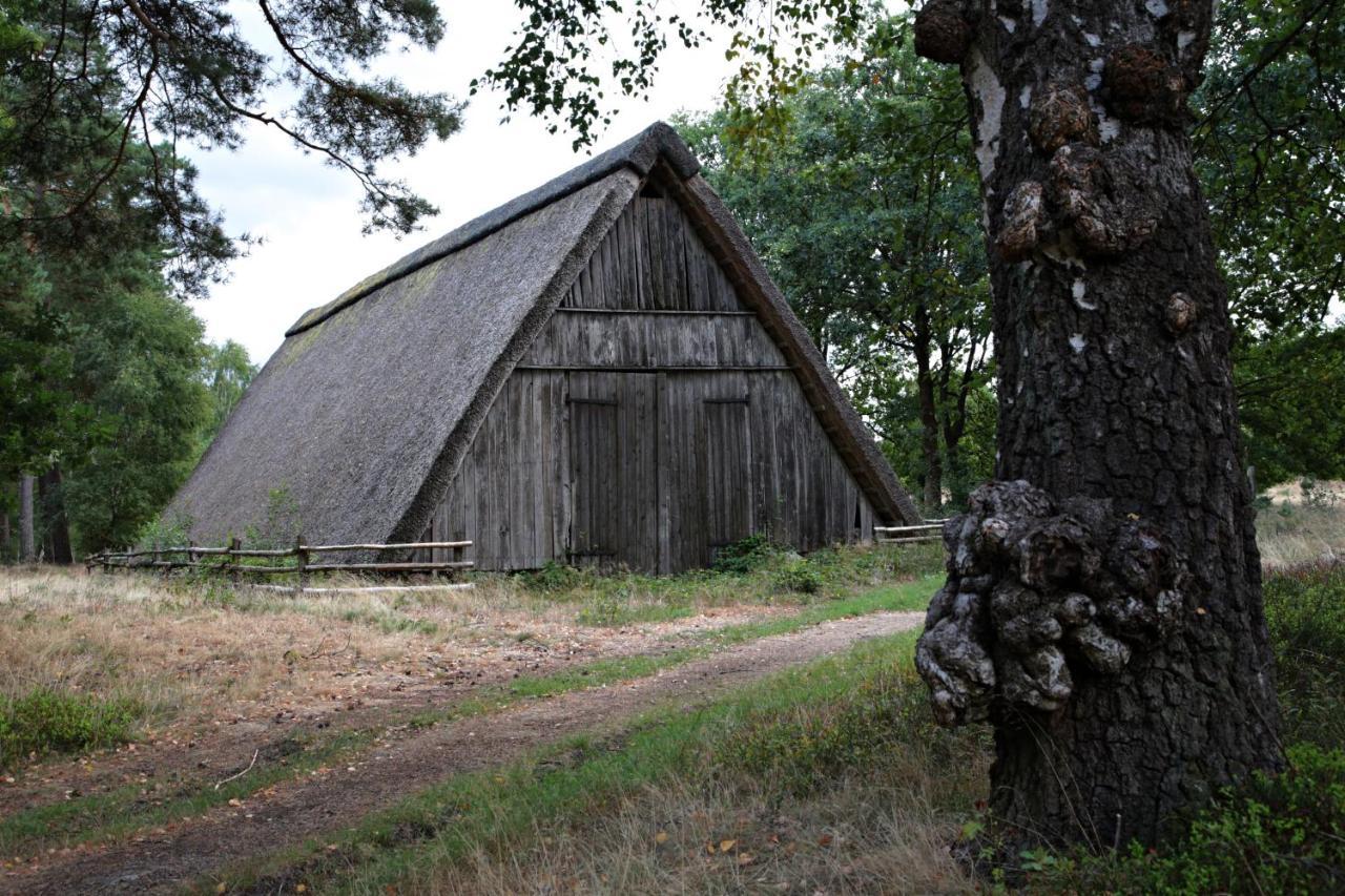 Ferienwohnungen Wahlers Bispingen Exterior foto