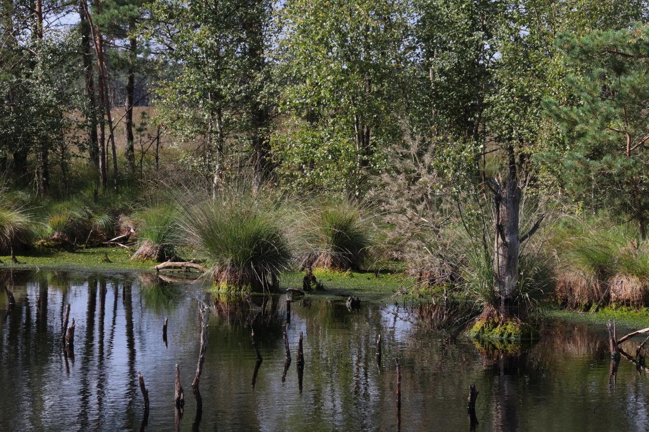 Ferienwohnungen Wahlers Bispingen Exterior foto